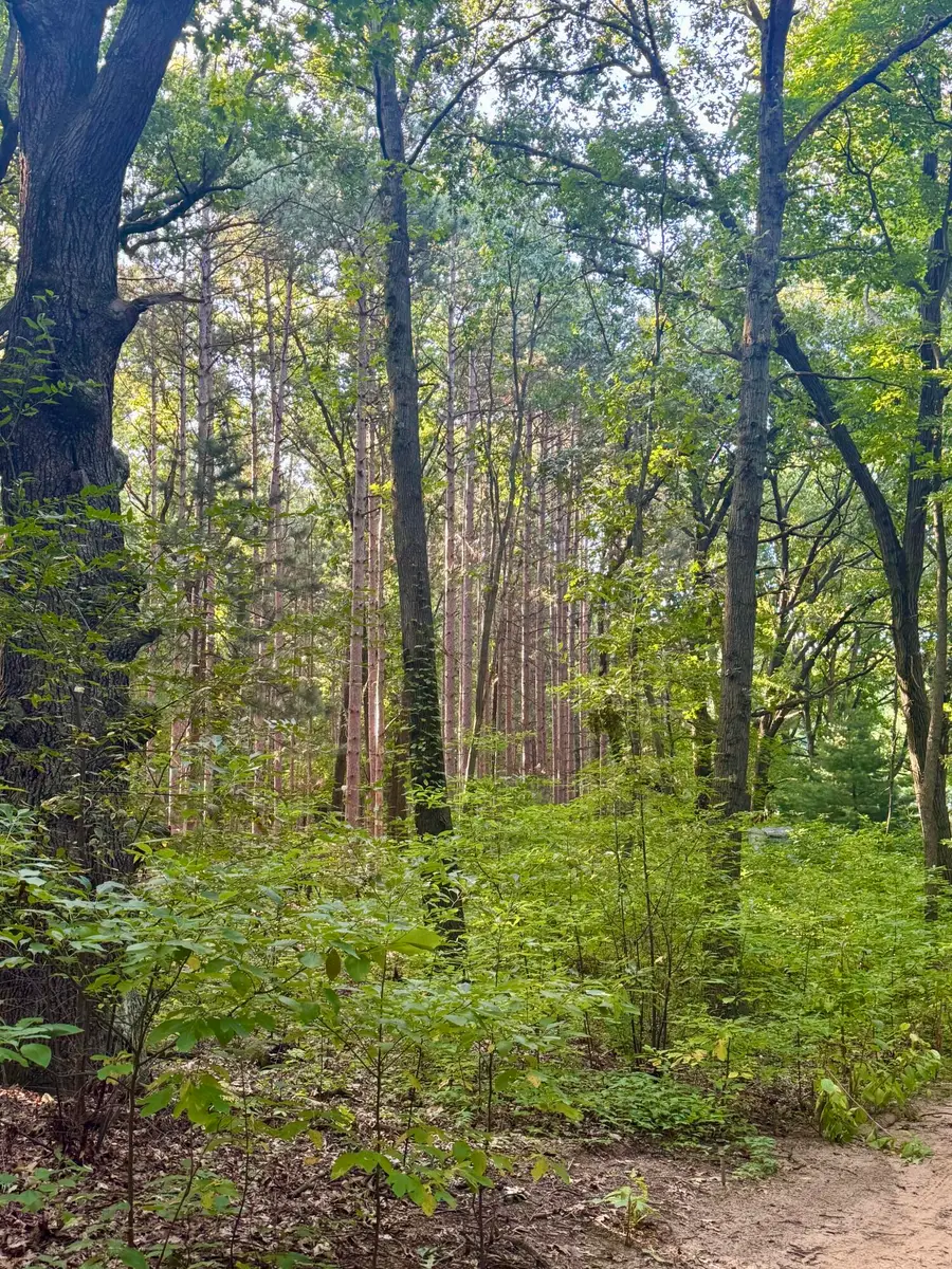 10791 West Main Street, Kalamazoo, MI 49009 - Image #3