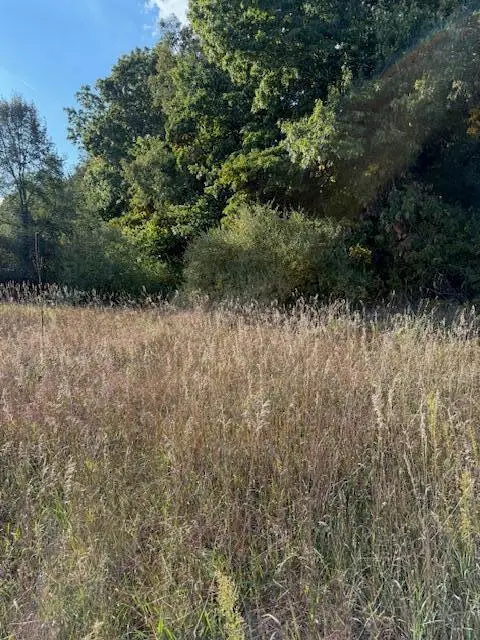 V/L Industrial Park Drive, Greenville, MI 48838 - Image #2