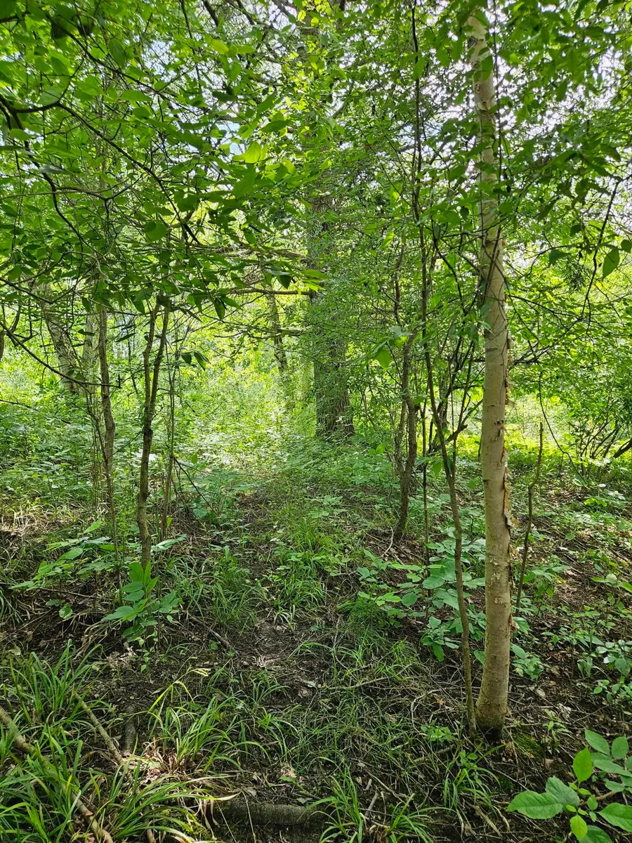 #3