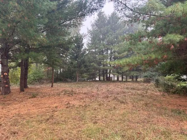 7125 Holiday Drive, Canadian Lakes, MI 49346 - Image #2