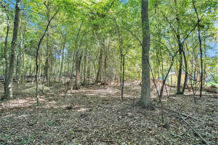 190 Jacaranda Drive, Battle Creek, MI 49015 - Image #2