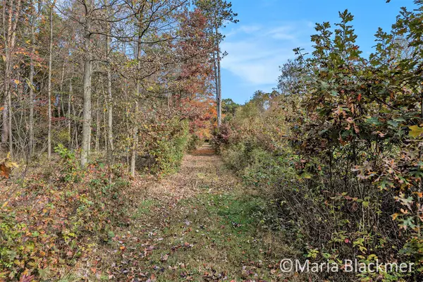 E Charles Road, Ionia, MI 48846