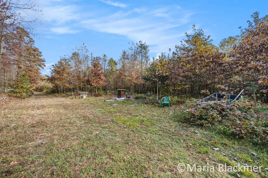 E Charles Road, Ionia, MI 48846 - Image #2