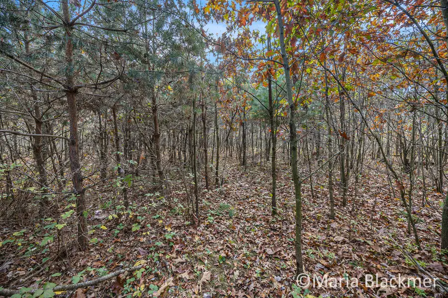 E Charles Road, Ionia, MI 48846 - Image #3