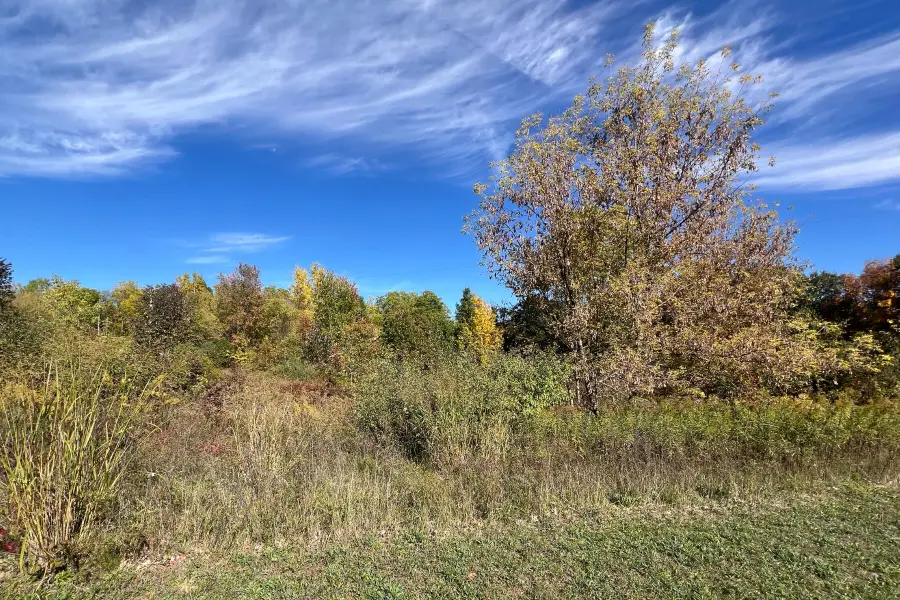 5577 Cannon Meadows Drive, Ada, MI 49301 - Image #2