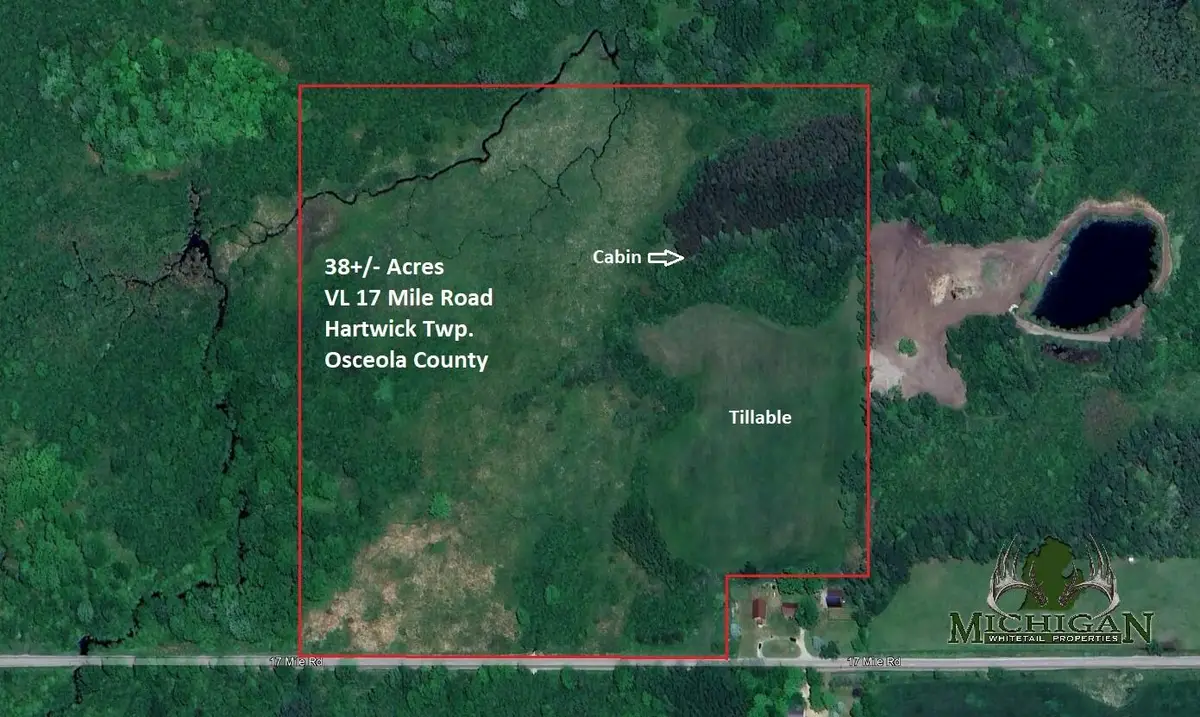 Vl 17 Mile Road, Marion, MI 49665 - Image #1