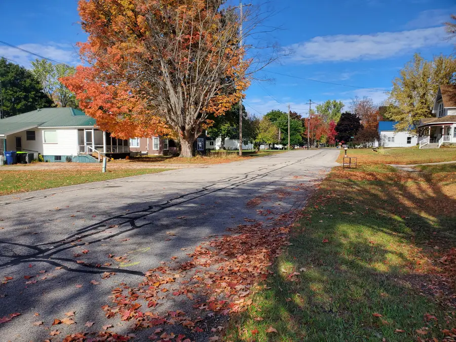 306 N Carland Street, Marion, MI 49665 - Image #3