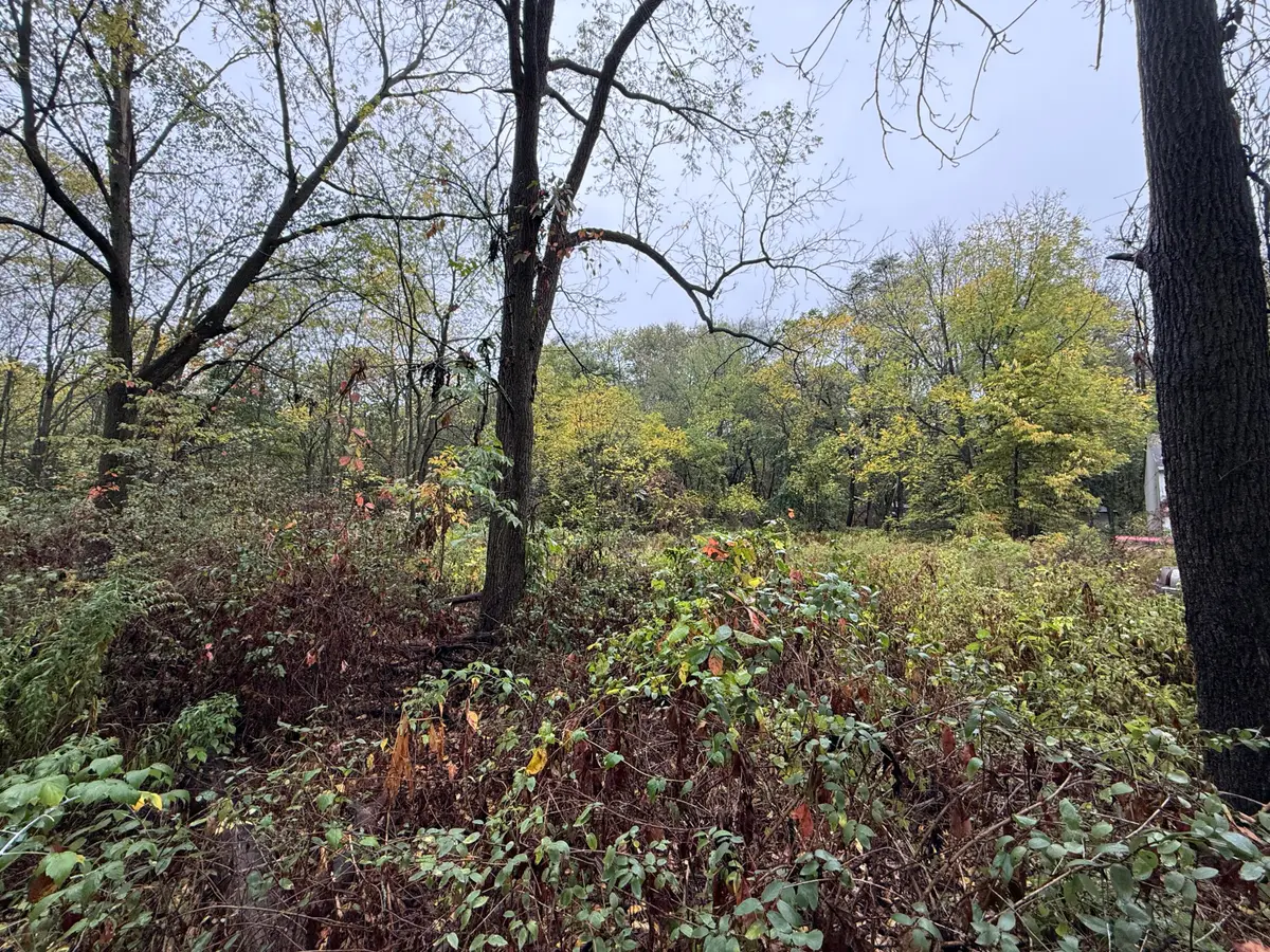 771 N Main Street, Plainwell, MI 49080 - #1