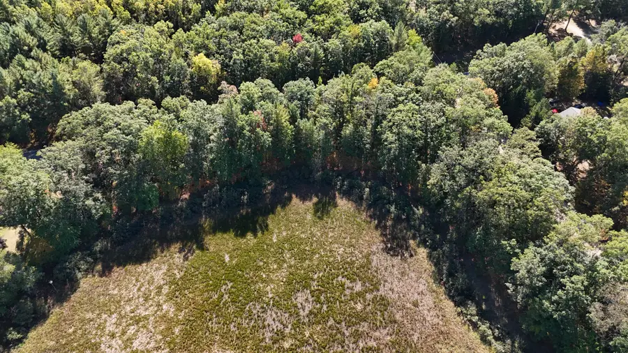 Lots 1-9 Cranberry Street, Wellston, MI 49689 - Image #2