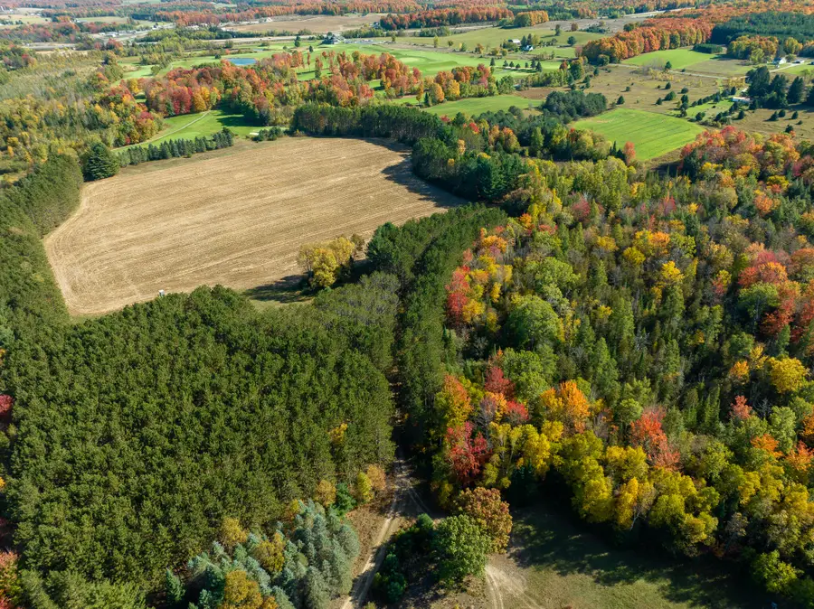 7200 E 46 Road, Cadillac, MI 49601 - Image #3