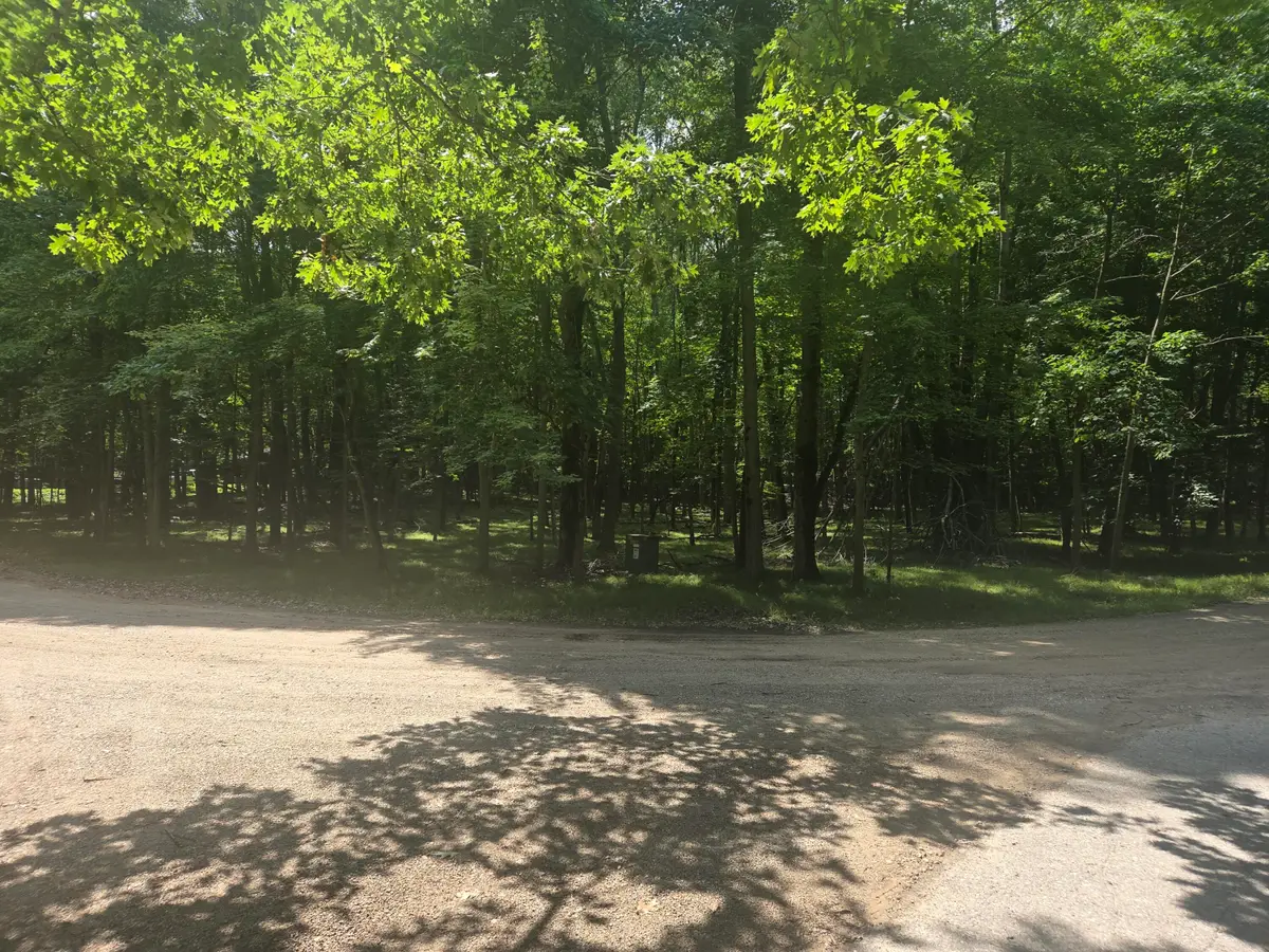 12121 Trail Creek, Canadian Lakes, MI 49346 - Image #1