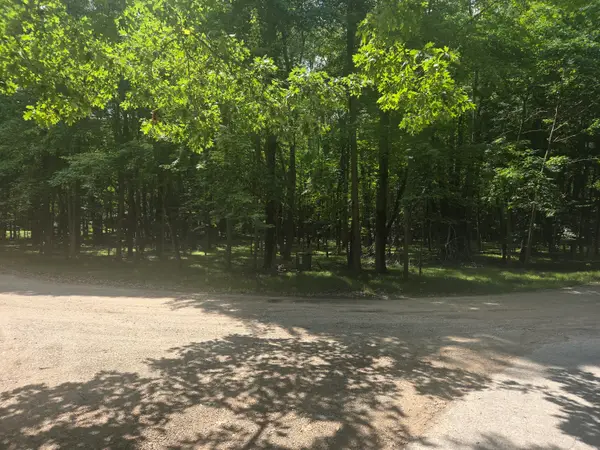 12121 Trail Creek, Canadian Lakes, MI 49346