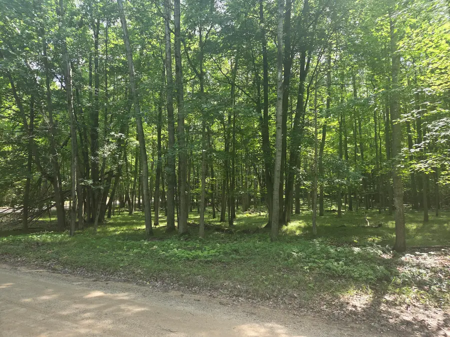 12121 Trail Creek, Canadian Lakes, MI 49346 - Image #2