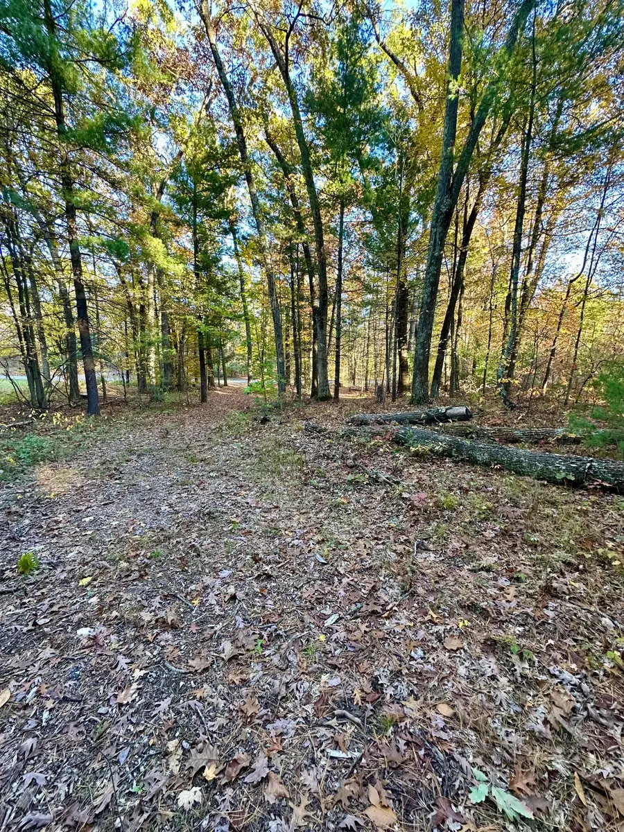 6043 Holton-duck Lake Road, Twin Lake, MI 49457 - Image #2