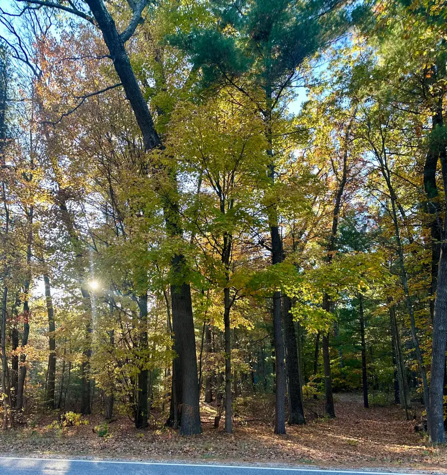 6043 Holton-duck Lake Road, Twin Lake, MI 49457 - Image #3