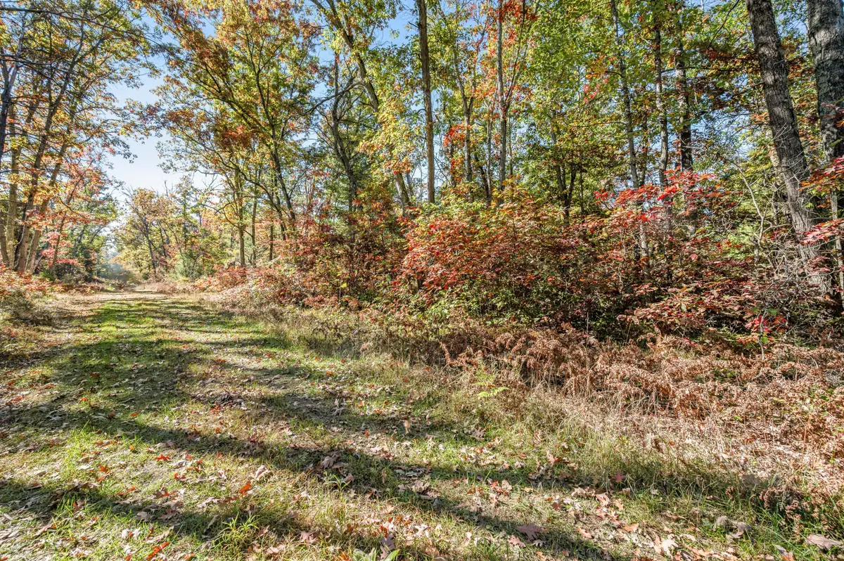 V/L Hughes St, Idlewild, MI 49642 - Image #1