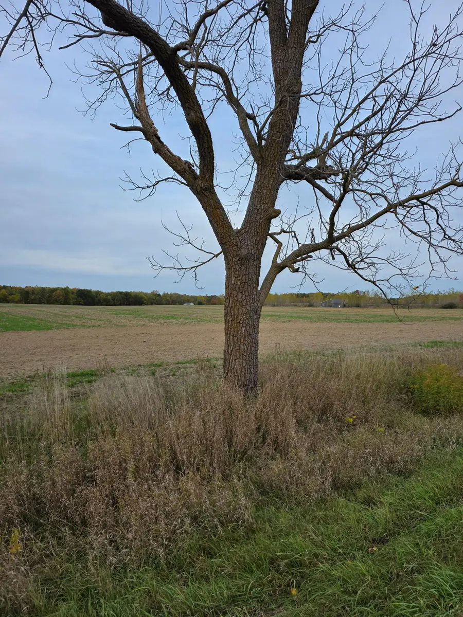 Parcel 2 Alward Road, Laingsburg, MI 48848 - Image #2