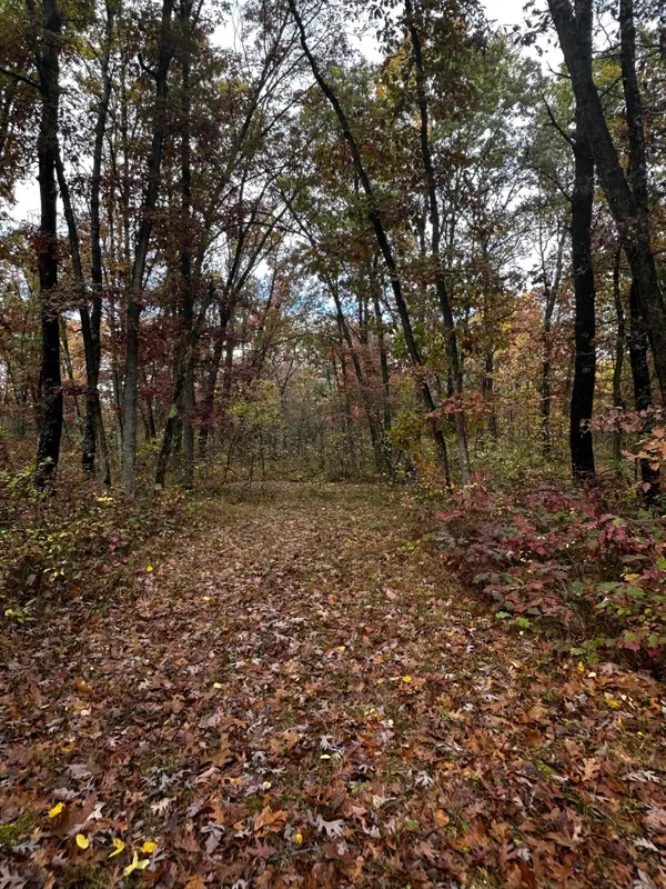 6421 N Irons Road, Irons, MI 49644