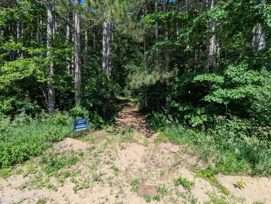 V/L North Avenue, Bellevue, MI 49021 - Image #2