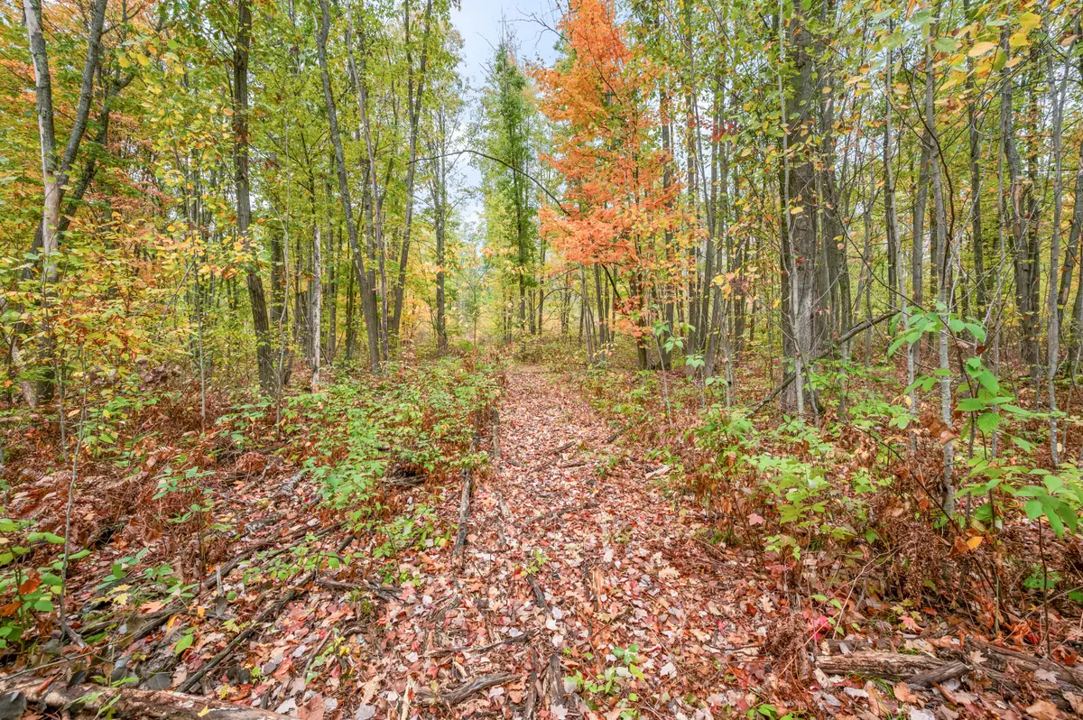 13540 8 Mile Rd, Evart, MI 49631 - Image #1