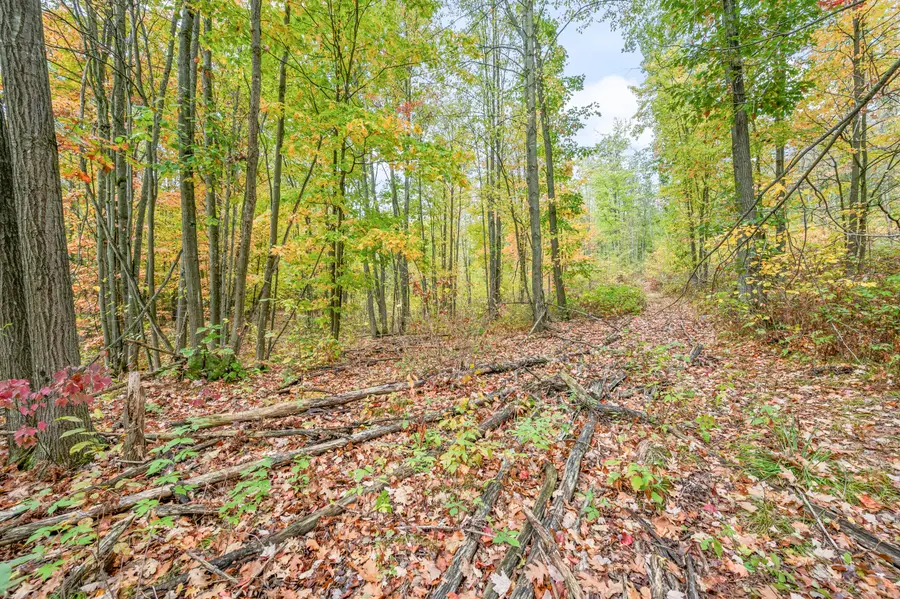 13540 8 Mile Rd, Evart, MI 49631 - Image #3