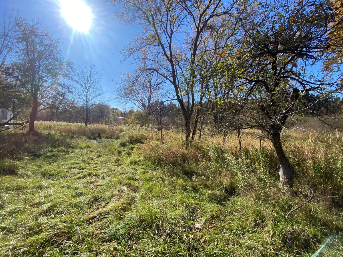 V/L W Edgerton Street, Howard City, MI 49329 - Image #1