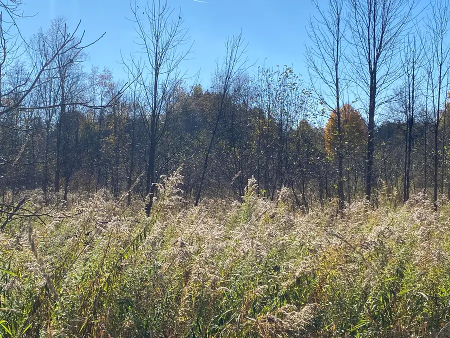 V/L W Edgerton Street, Howard City, MI 49329 - Image #2