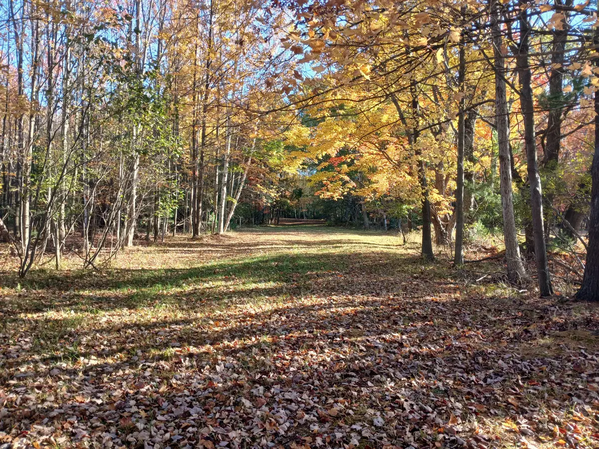 W Branch Street, Pentwater, MI 49449 - Image #1