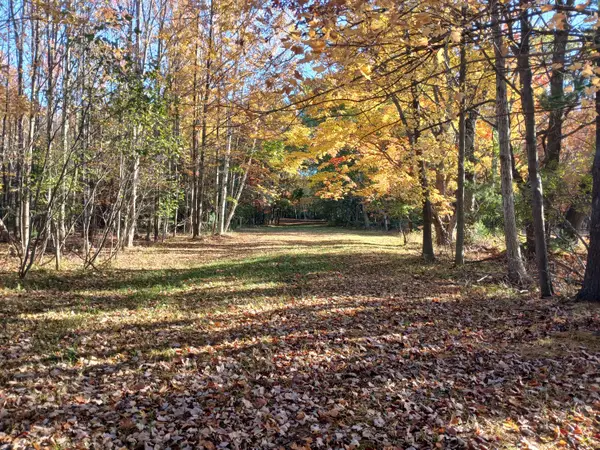 W Branch Street, Pentwater, MI 49449