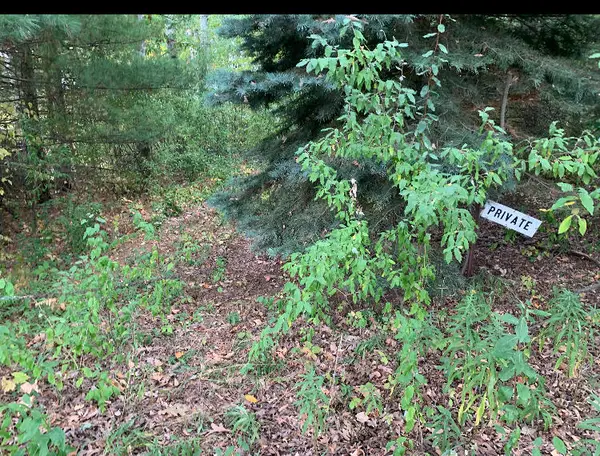 E Rossel Lake Road, Walkerville, MI 49459