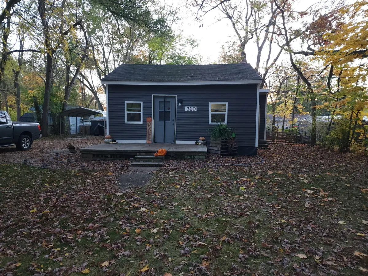 310 Lincoln Street, Allegan, MI 49010 - Image #1