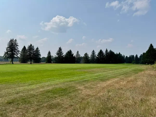 7277 Ryans Run, Canadian Lakes, MI 49346