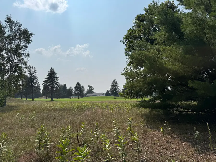 7277 Ryans Run, Canadian Lakes, MI 49346 - Image #3