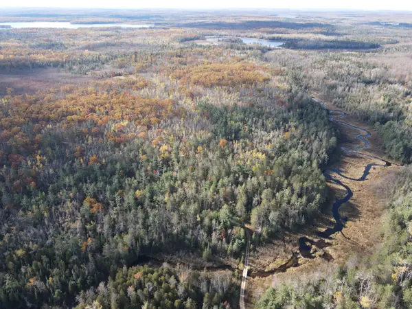 22006 Bowden Trail, Hillman, MI 49746