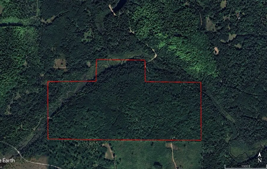 22006 Bowden Trail, Hillman, MI 49746 - Image #2