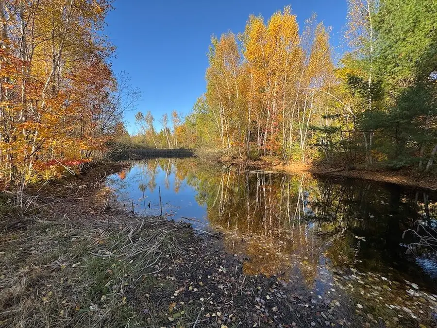 4116 Dutcher Road, Gladwin, MI 48624 - Image #2