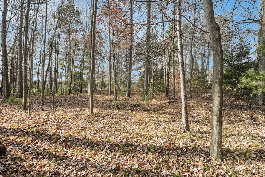 12215 Lila Court, Stanwood, MI 49346 - Image #3