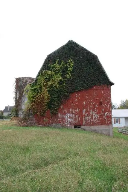 2975 #3 Boynton Avenue Ne, Ada, MI 49301