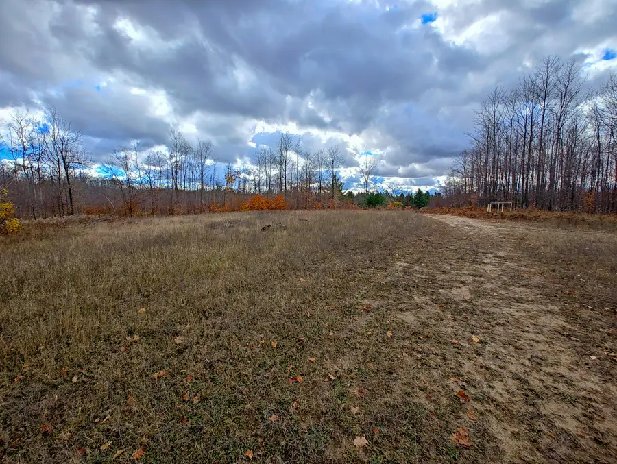 VL Mancelona Road, Mancelona, MI 49659 - Image #3