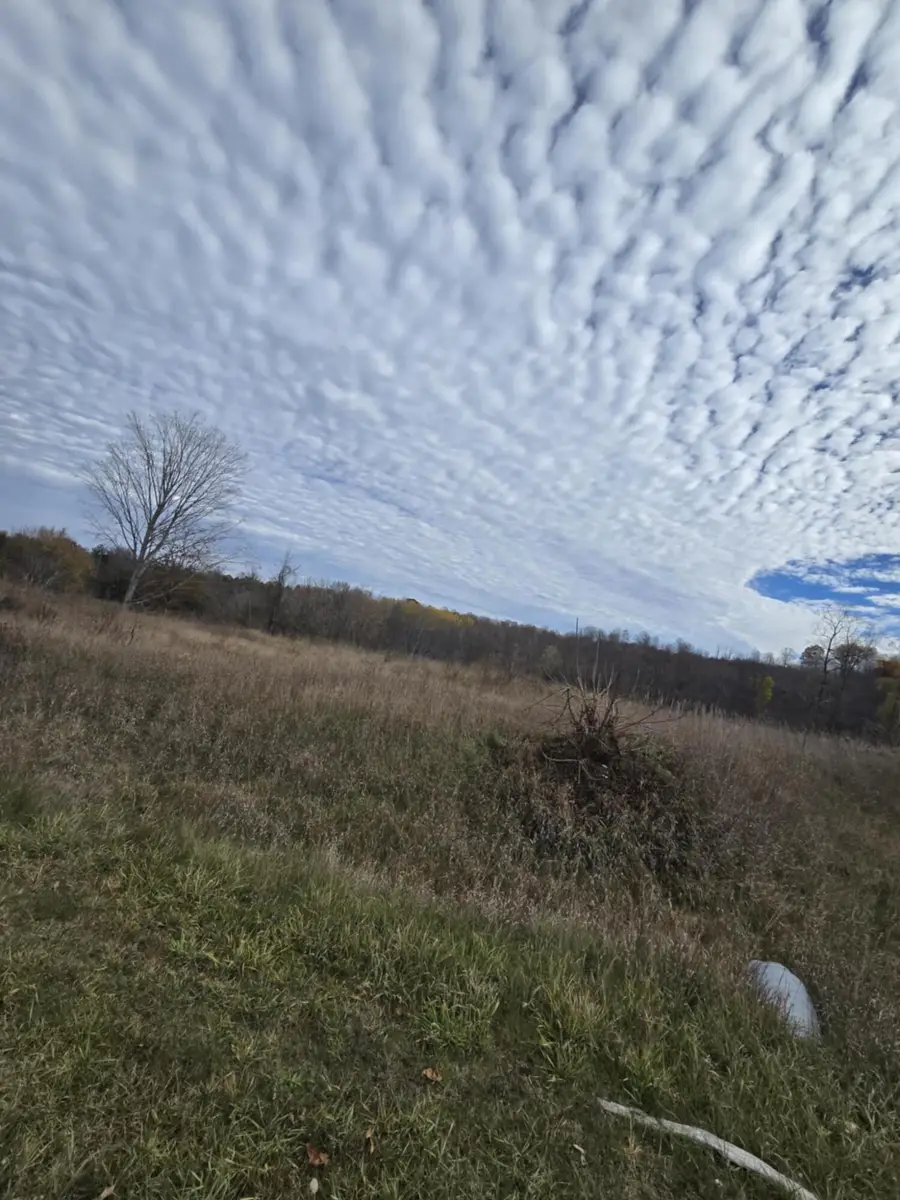 VL 200th Ave Avenue, Big Rapids, MI 49307 - Image #2