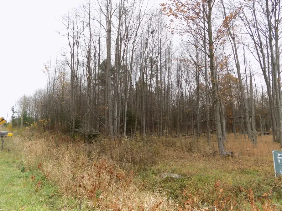 V/l Cr-378, Covert, MI 49043 - Image #3