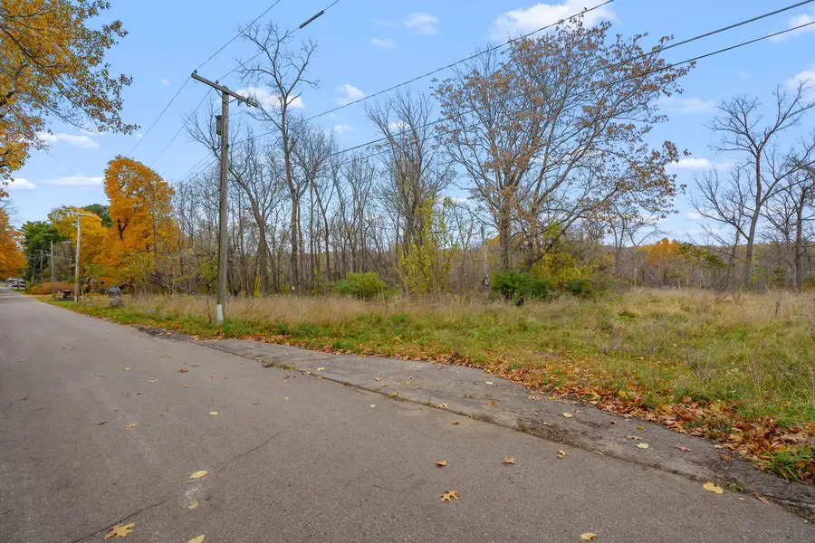 741 Montgomery Street, Marshall, MI 49068 - Image #3