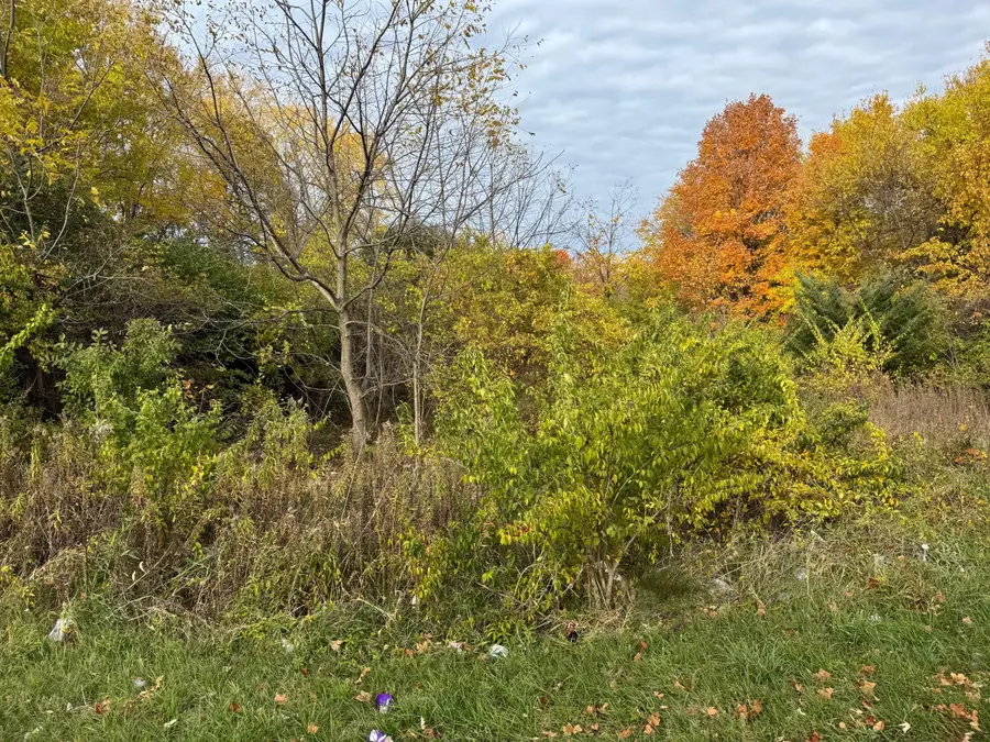 179 Collins Avenue, Benton Harbor, MI 49022 - Image #2