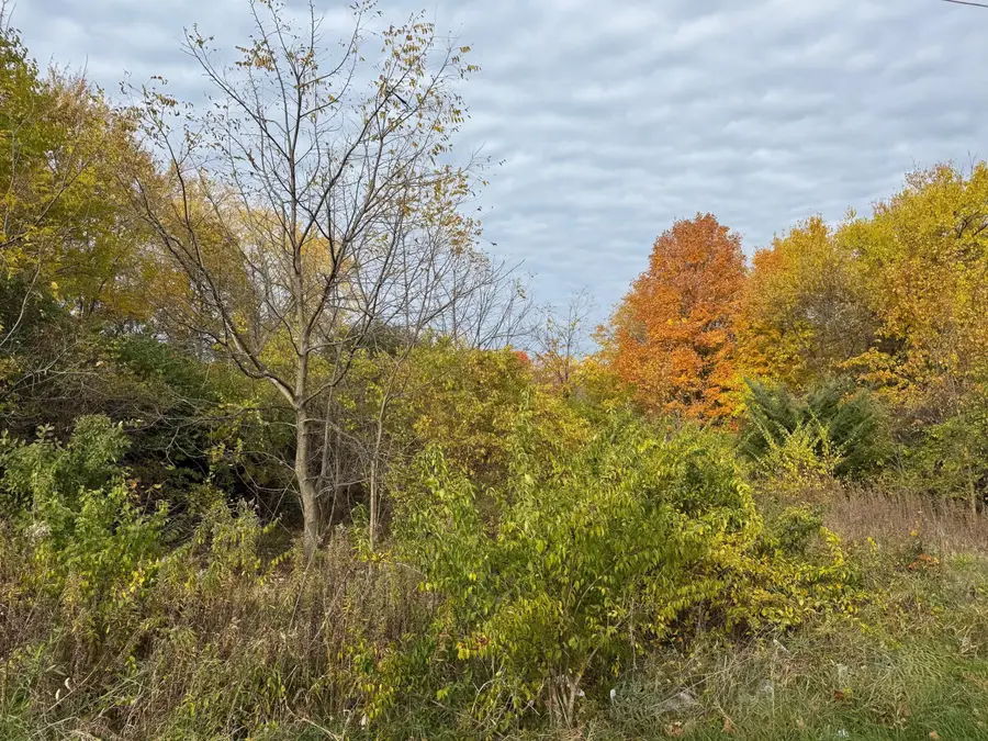 179 Collins Avenue, Benton Harbor, MI 49022 - Image #3