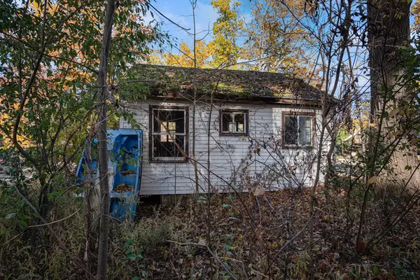 12340 Canter Street Ne, Belding, MI 48809