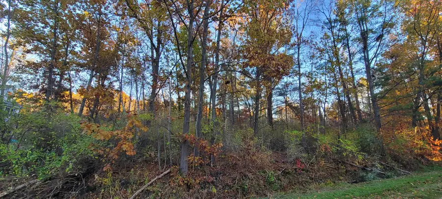 0 Harbor Drive #123, Pentwater, MI 49449 - Image #3