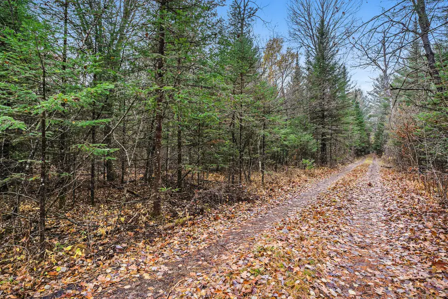 VL Wildwood Road, Alger, MI 48610 - Image #3