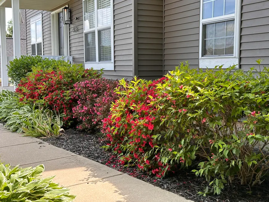 4496 Shiloh Way Drive Se, Grand Rapids, MI 49546 - Image #3