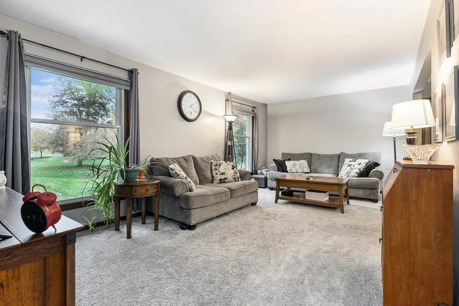 927 S Alexander Street, Greenville, MI 48838 - Image #3