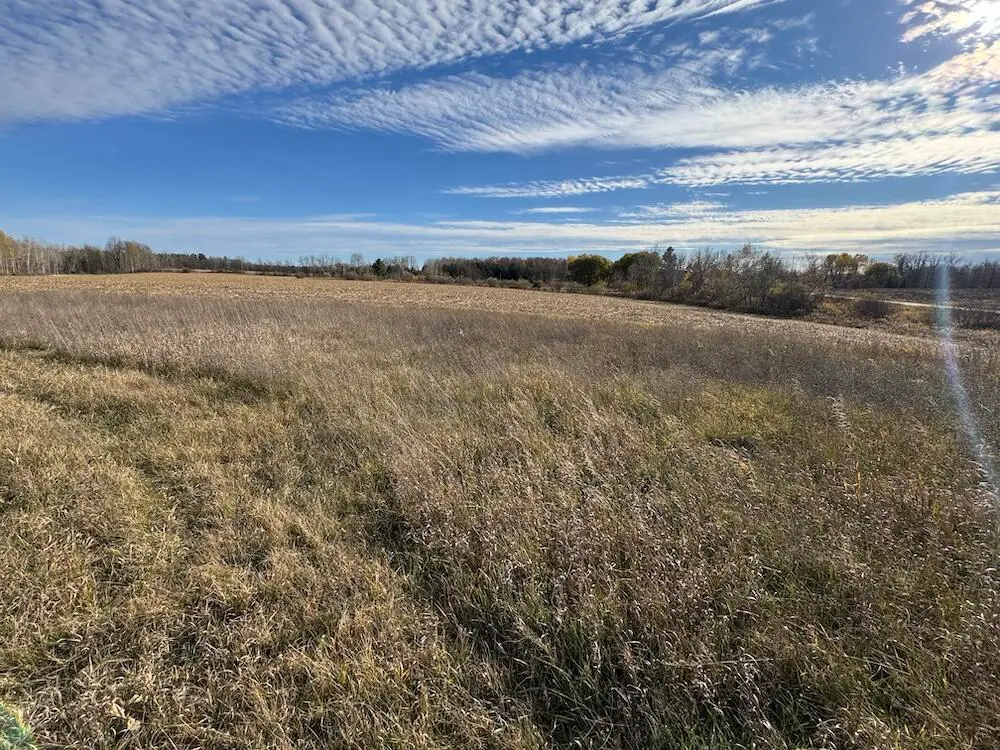 409 S Morrison Road, West Branch, MI 48661 - Image #1